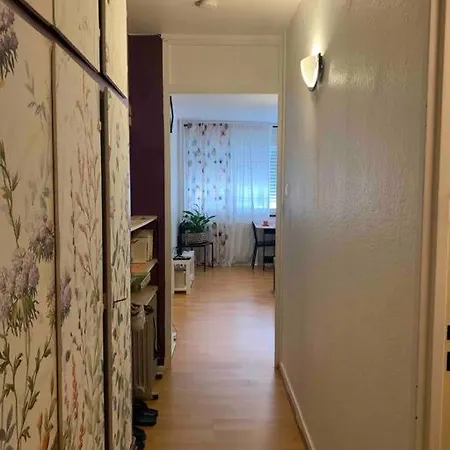 Lumineux Appartement